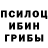 Псилоцибиновые грибы Psilocybe offshore4848