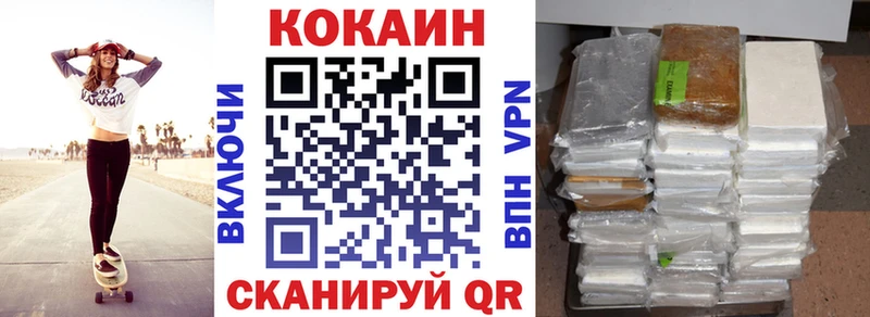COCAIN FishScale  Купить закладки  Шенкурск 
