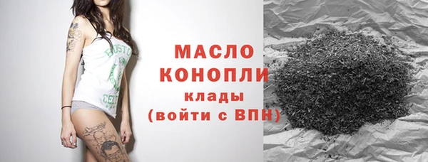 jwh Ельня