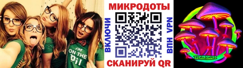 Купить где  Шенкурск  Галлюциногенные грибы мицелий 